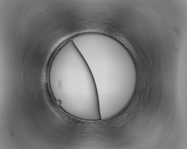 X0000114100628200910051231