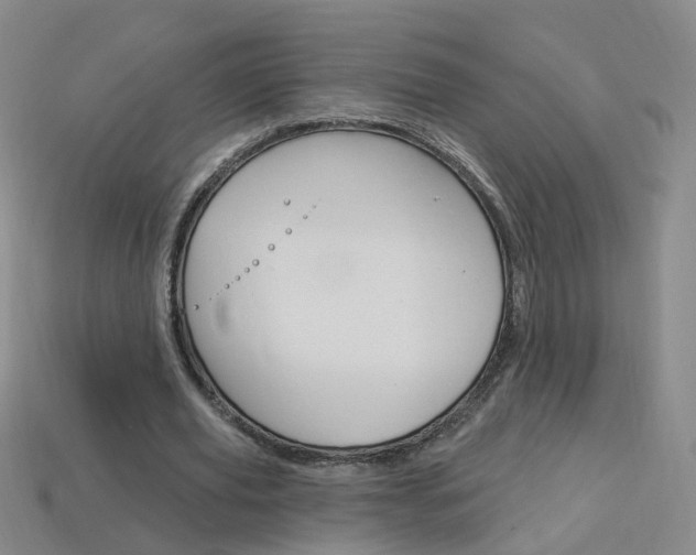 X0000114100629200910051231