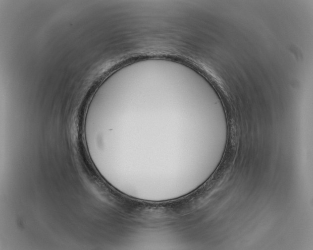 X0000114100631200910051231