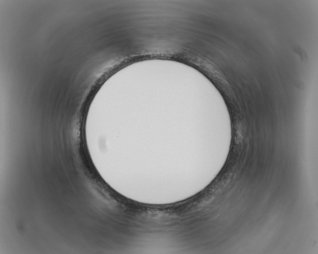 X0000114100632200910051231