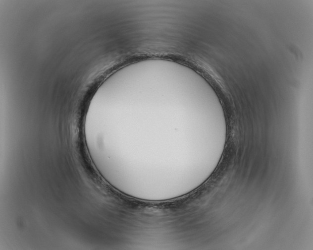 X0000114100635200910051231