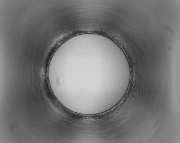 X0000114100636200910051231