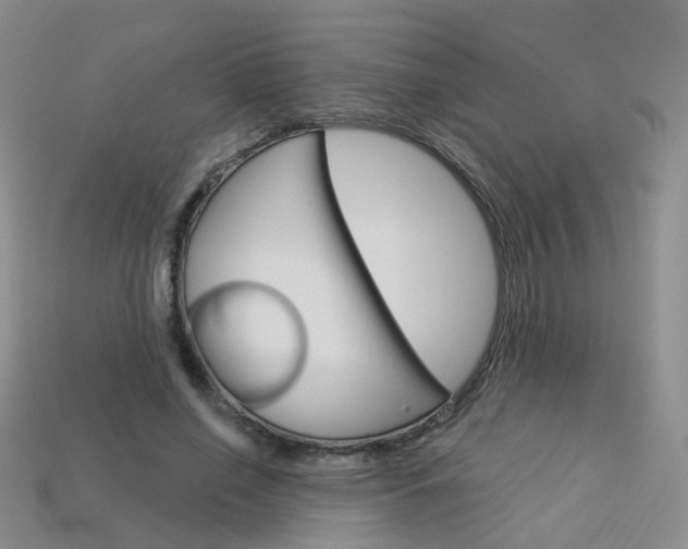 X0000114100638200910051231