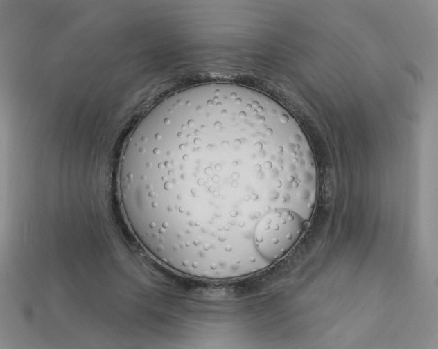 X0000114100639200910051231