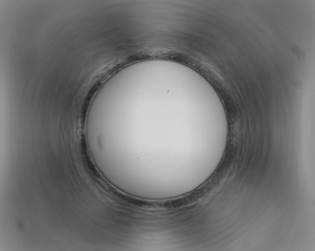 X0000114100644200910051231