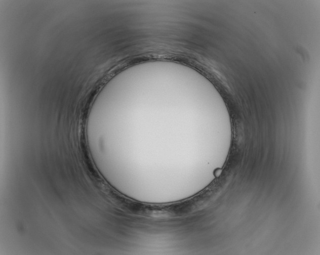 X0000114100645200910051231