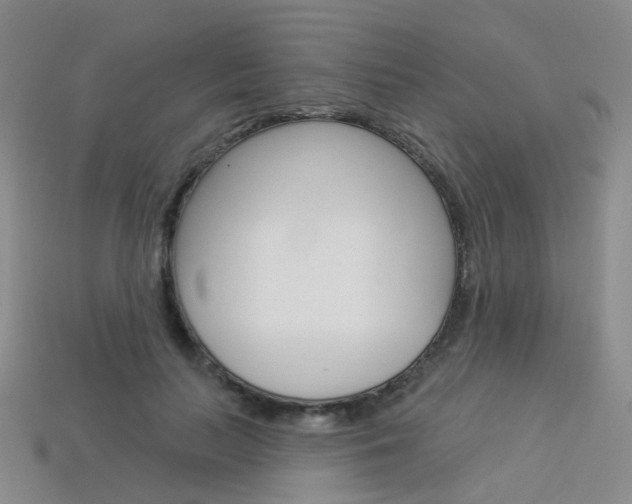 X0000114100647200910051231