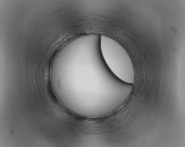 X0000114100648200910051231