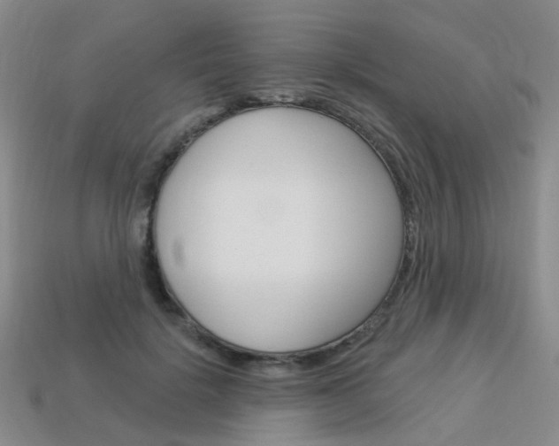 X0000114100652200910051231