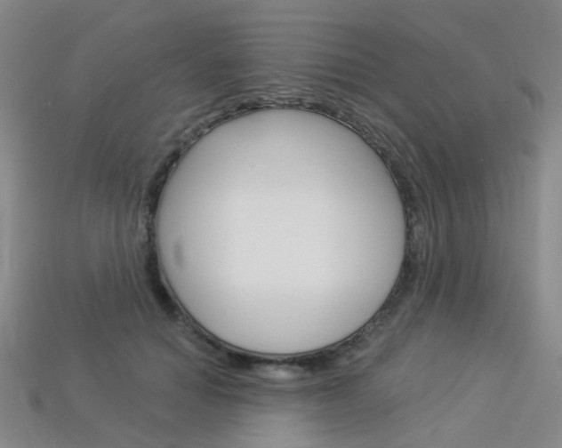 X0000114100654200910051231