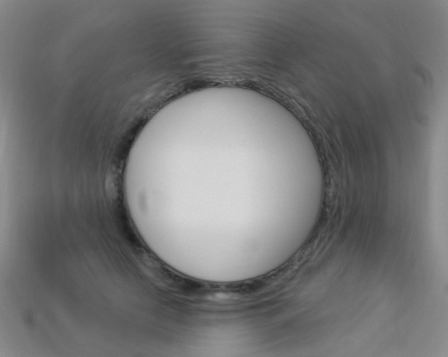 X0000114100658200910051231