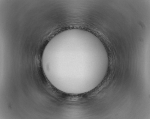 X0000114100661200910051231