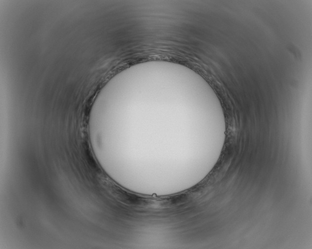 X0000114100663200910051232