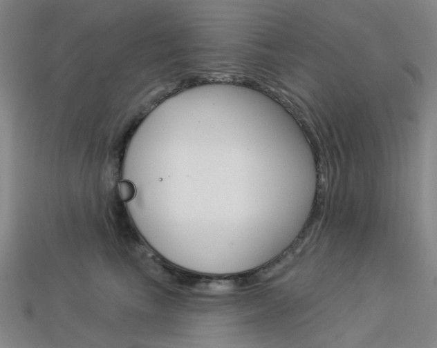 X0000114100665200910051232