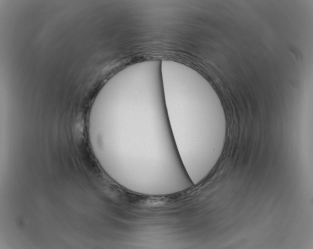 X0000114100668200910051232