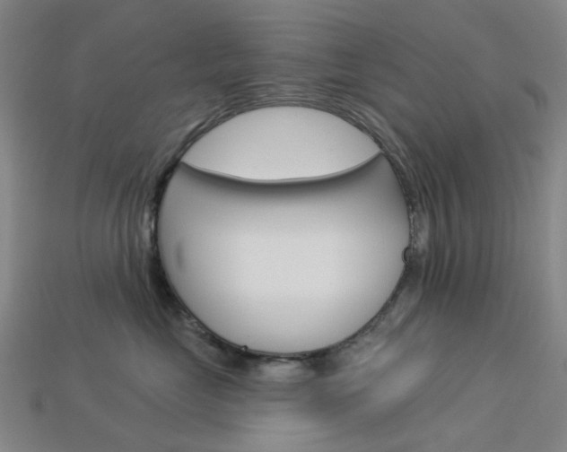 X0000114100669200910051232