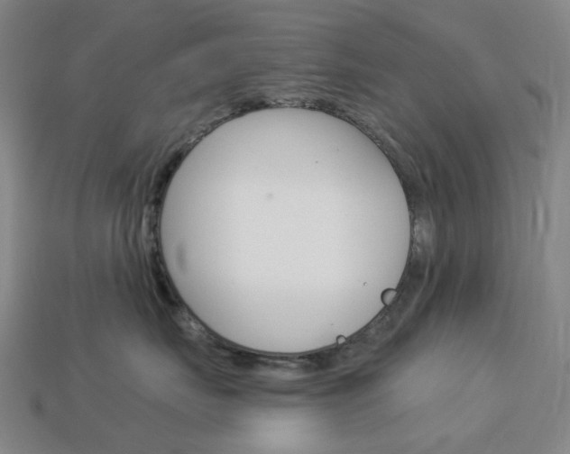 X0000114100671200910051232