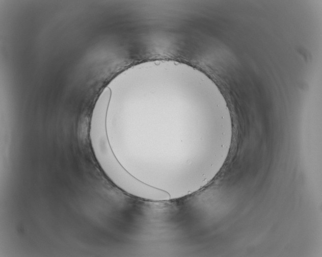 X0000114100672200910051232