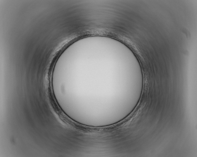 X0000114100674200910051231