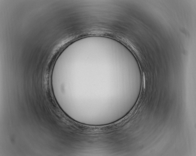 X0000114100675200910051231