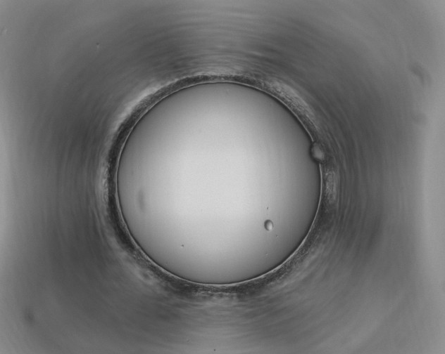 X0000114100676200910051231