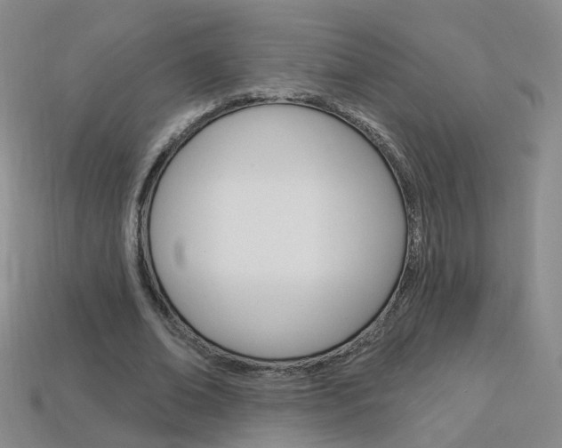 X0000114100678200910051231