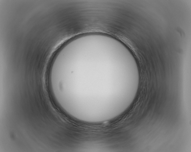 X0000114100680200910051231