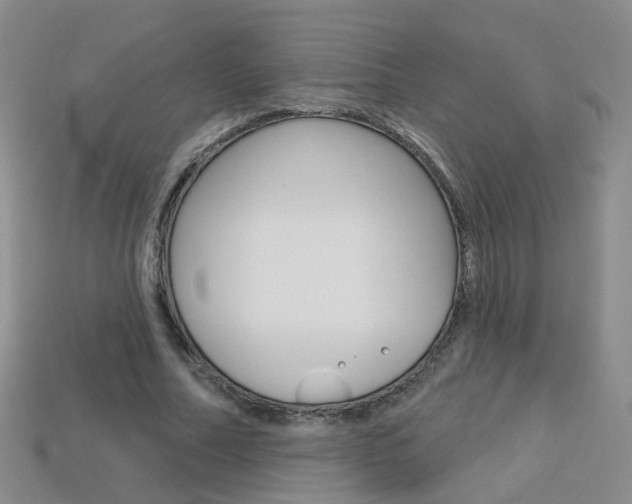 X0000114100682200910051231