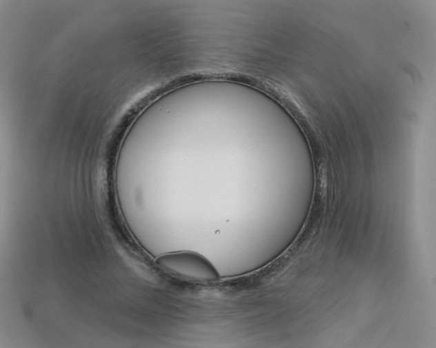 X0000114100684200910051231