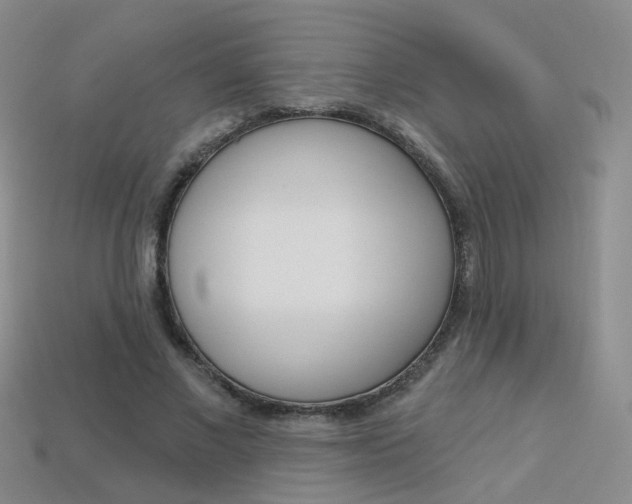 X0000114100685200910051231