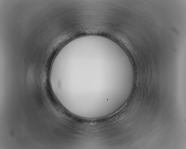 X0000114100687200910051231