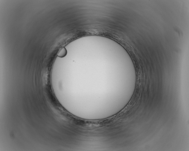 X0000114100694200910051231