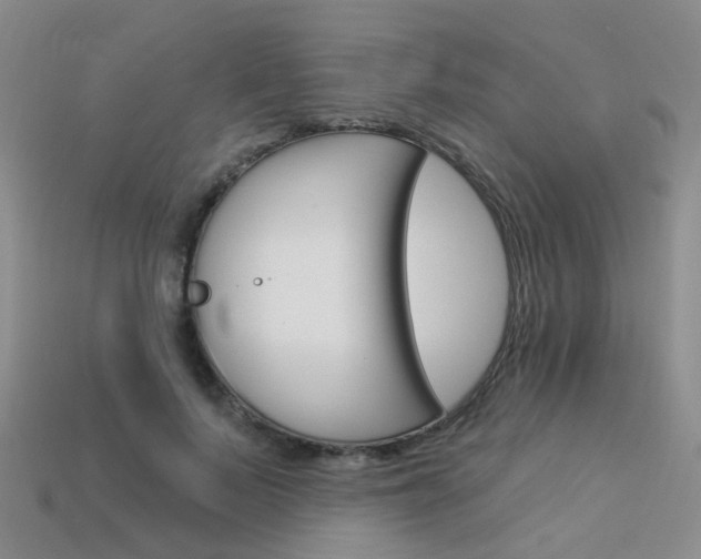 X0000114100695200910051231