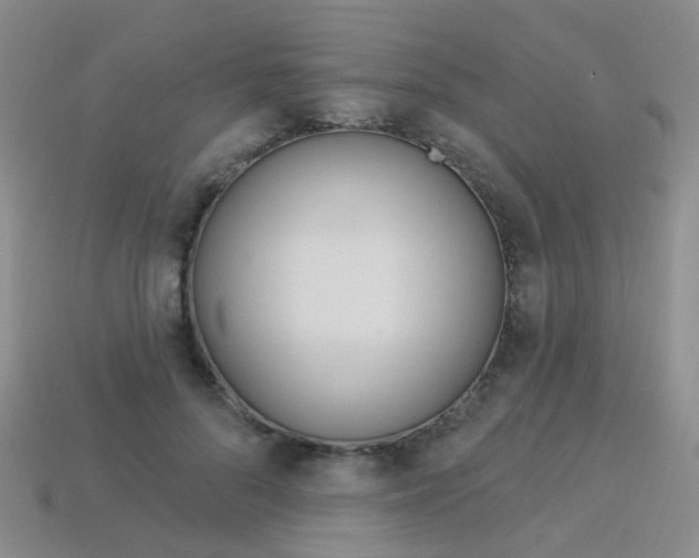 X0000114100696200910051231