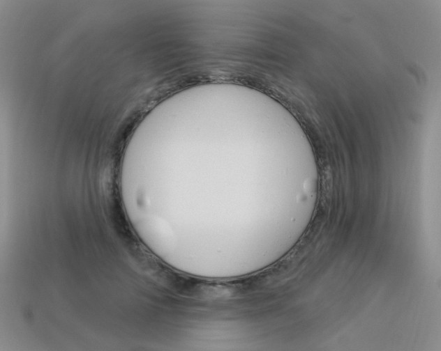 X0000114100698200910051231