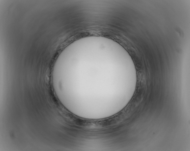 X0000114100702200910051230