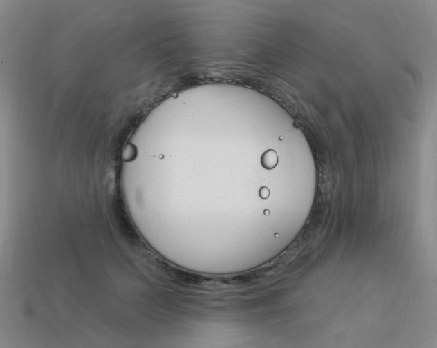 X0000114100703200910051230