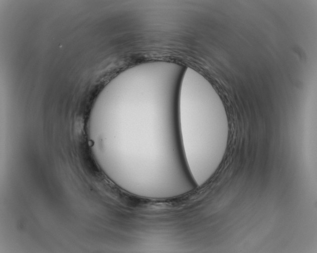 X0000114100711200910051230