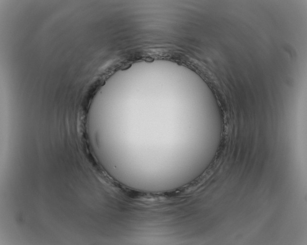 X0000114100712200910051230