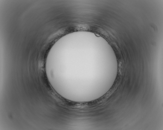 X0000114100714200910051230