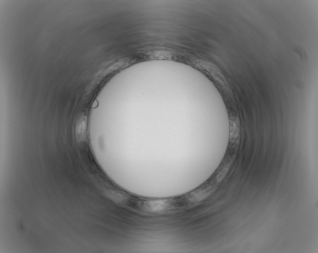 X0000114100717200910051230