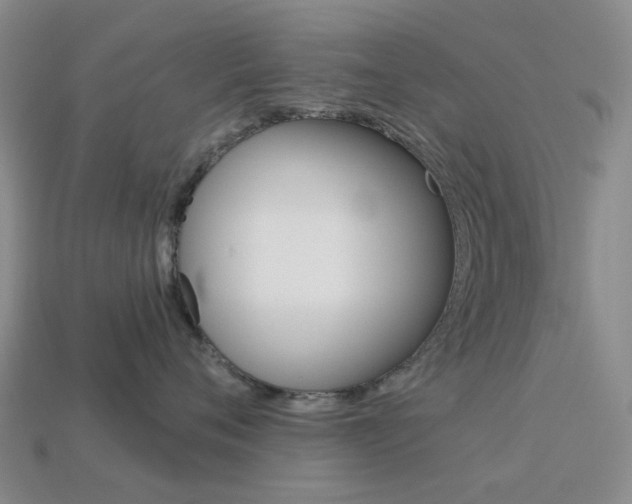 X0000114100720200910051230