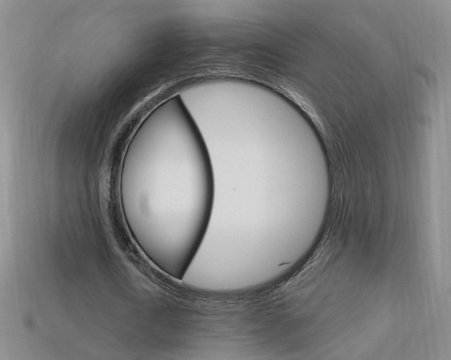 X0000114100722200910051230