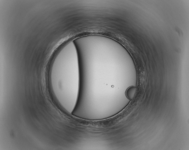 X0000114100727200910051230