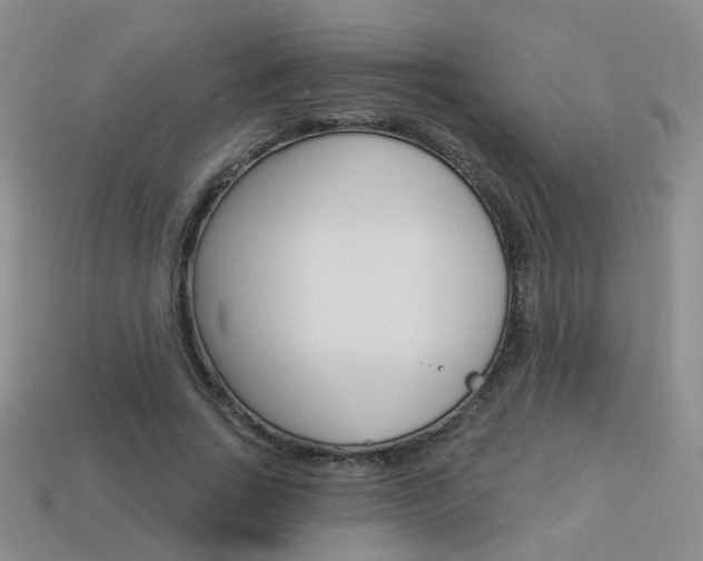 X0000114100735200910051230
