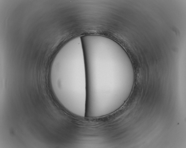 X0000114100739200910051230