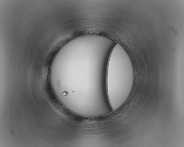 X0000114100742200910051230