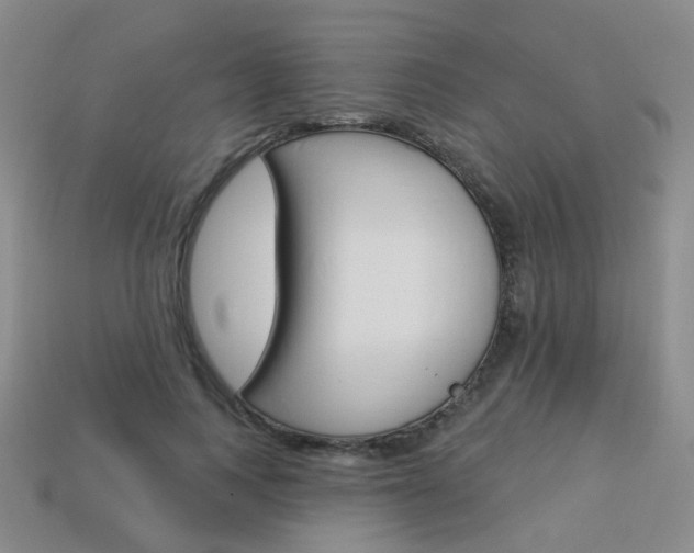 X0000114100743200910051230