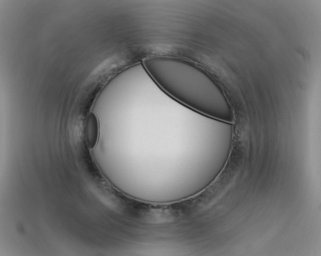 X0000114100744200910051230