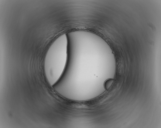 X0000114100747200910051230